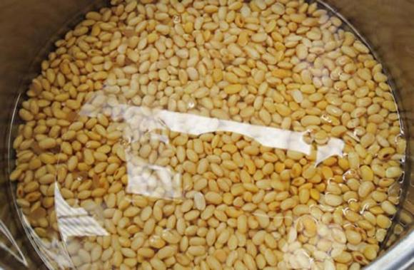 ngâm hạt, tại sao phải ngâm hạt, kiến thức
