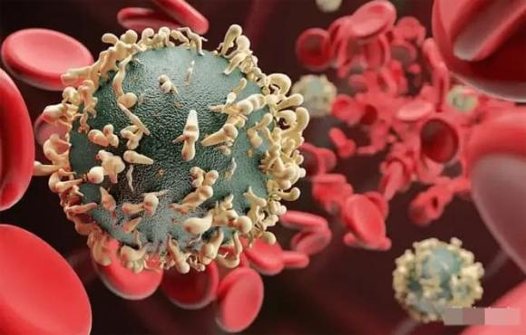 nhiễm HPV