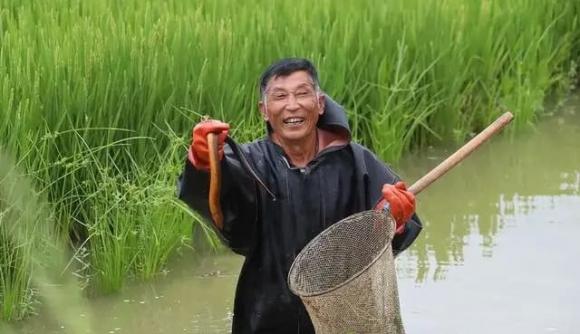 quan niệm xưa, lươn, rắn, ong, Tháng 7 ong, tháng 8 rắn, tháng 9 không nên quấy nhiễu lươn