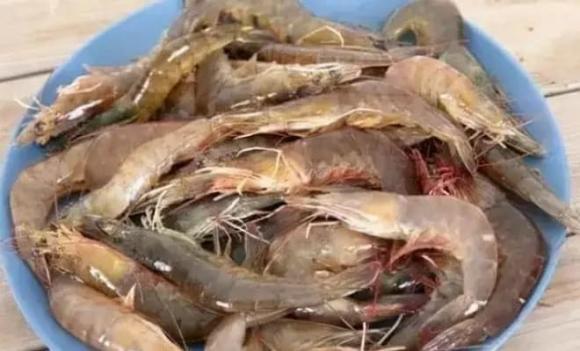 tôm, cách bảo quản tôm tươi ngon, thực phẩm tươi sống