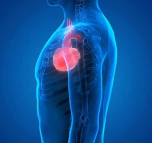 đi bộ, bệnh tim, bệnh tim mạch