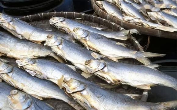 cá sống, chăm sóc sức khỏe, bệnh ung thư