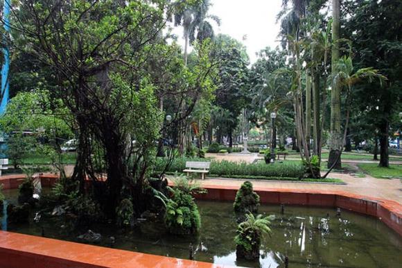 Phố Yec-xanh, phố Yersin, giải mã phố Yersin