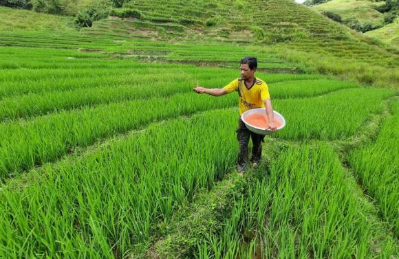 đất nông nghiệp, quy định đất nông nghiệp, bán đất nông nghiệp, kiến thức 