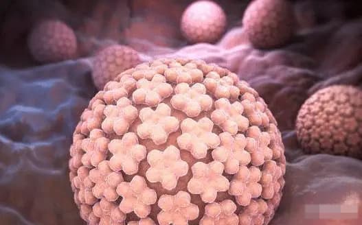HPV, bệnh HPV