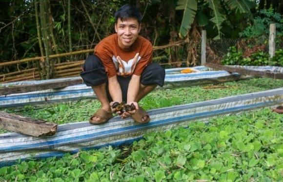 nuôi ốc bươu đen, nuôi ốc nhồi, kiến thức 