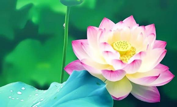 Trắc nghiệm tâm lý