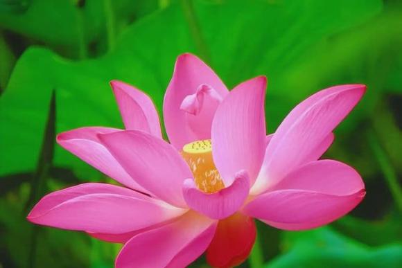 Trắc nghiệm tâm lý
