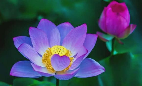 Trắc nghiệm tâm lý