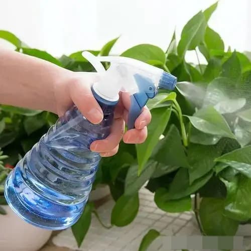 bia, mẹo hay, gội đầu với bia, 