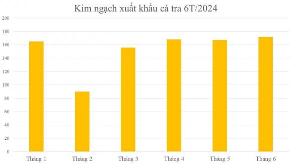 Cá tỷ đô của việt nam, cá tra