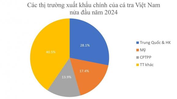 Cá tỷ đô của việt nam, cá tra