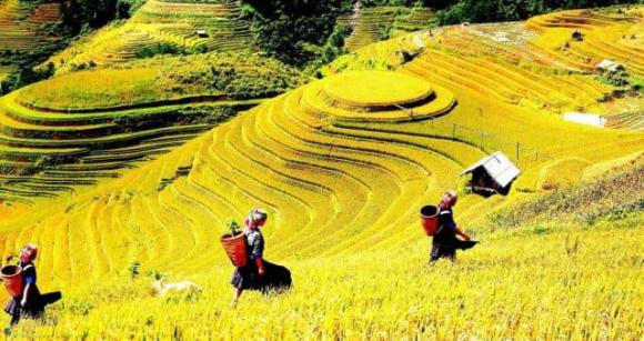 sông hồng, sông hồng chảy vào tỉnh nào, kiến thức 