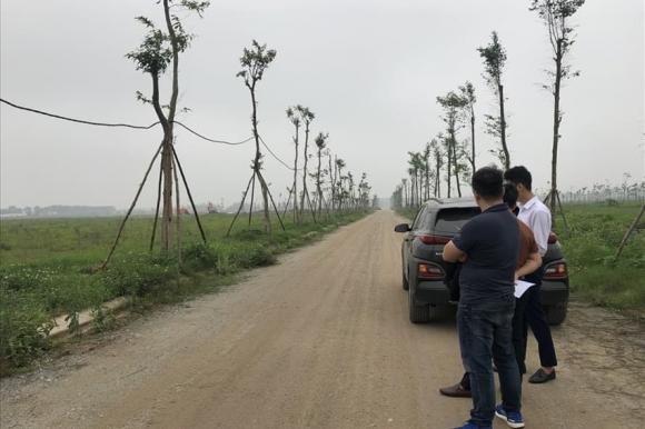 cò đất, mua nhà, luật đất đai, kiến thức 