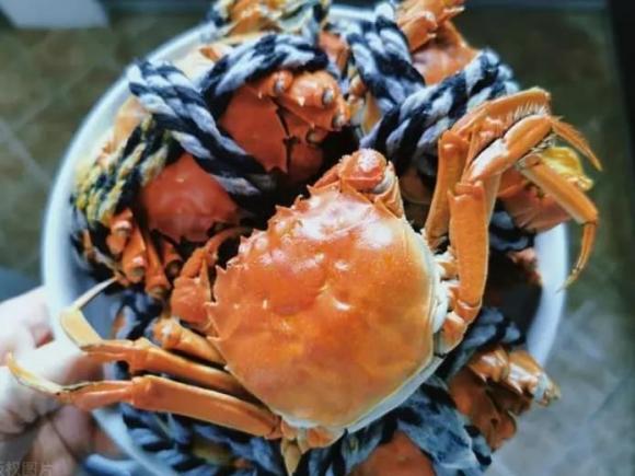 lưu ý khi đi ăn buffet, buffet, khi ăn buffet nhớ ăn 5 và 3 không ăn nhé