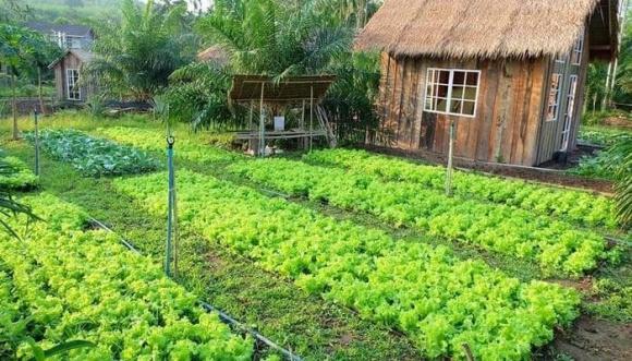 Chuyển đổi đất nông nghiệp sang đất ở, chuyển đổi mục đích sử dụng đất, luật đất đai