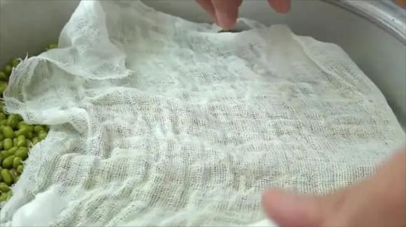 làm giá đỗ, dạy nấu ăn