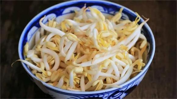 làm giá đỗ, dạy nấu ăn