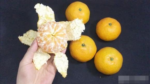 côn trùng, diệt côn trùng