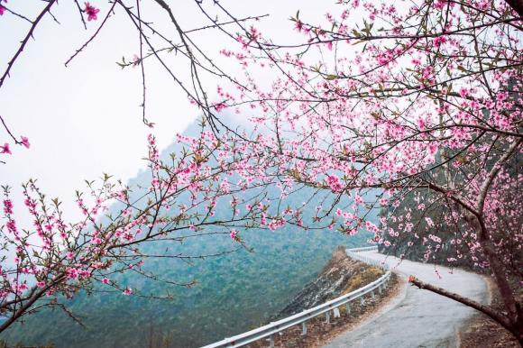 Điểm đến hấp dẫn nhất thế giới, tứ đại đỉnh đèo, tỉnh Hà Giang