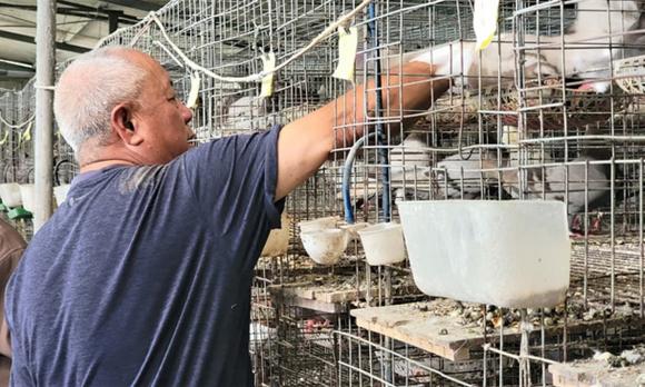 Nông dân 8x, nông dân 8x nuôi tằm, nông dân 8x thu tiền tỷ