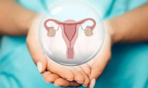 âm đạo, sức khỏe sinh sản, dịch tiết âm đạo, dịch tiết của phụ nữ
