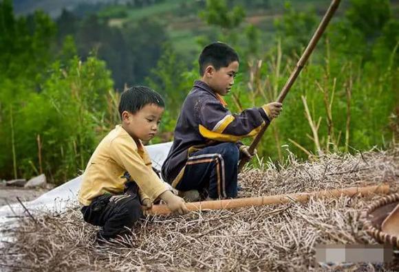 người giàu, người nghèo, thêm trai, thêm gái