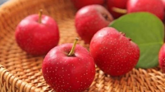 kinh nguyệt phụ nữ, kinh nguyệt, nên ăn những loại quả này để tốt cho sức khỏe