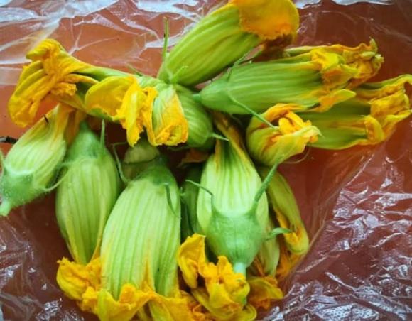 hoa bí ngô, cách chế biến hoa bí ngô, chế biến hoa bí ngô đúng cách