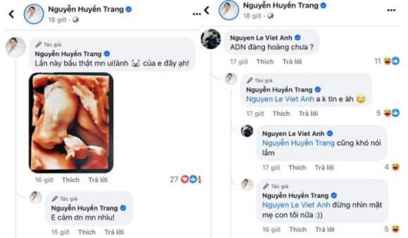 Quỳnh Nga, Việt Anh, sao Việt 