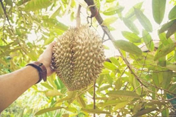 Trắc nghiệm tâm lý