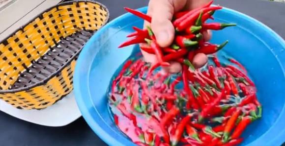 bảo quản ớt, mẹo hay, kiến thức