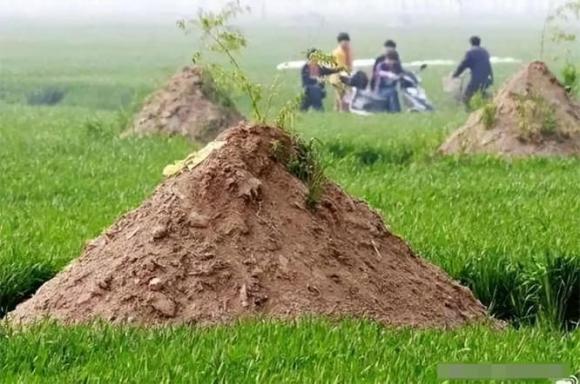 hoả táng, tro cốt