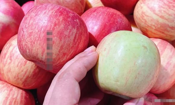mẹo chọn táo, cách chọn táo ngon, mẹo chọn hoa quả