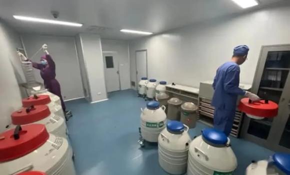  y tá , ngân hàng tinh trùng,  lý do y tá làm việc tại ngân hàng tinh trùng đều độc thân