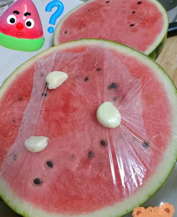 tỏi, dưa hấu