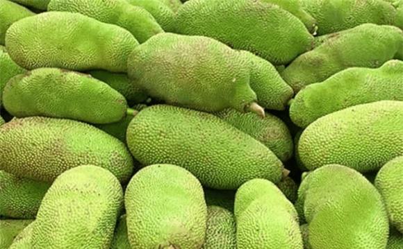 mít, bảo quản mít