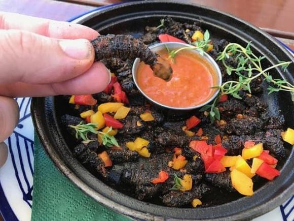 Sâu Mopane, sâu bướm, Sâu Mopane đắt hơn tôm hùm