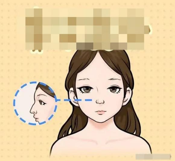 tướng mạo, lông mày, sống mũi