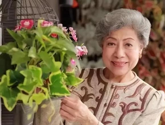 Sao Hoa ngữ, nữ diễn viên chưa kết hôn, Tần Lam, Lưu Diệc Phi, Lý Nhược Đồng, Lý Băng Băng, Vương Tổ Hiền, La Lan