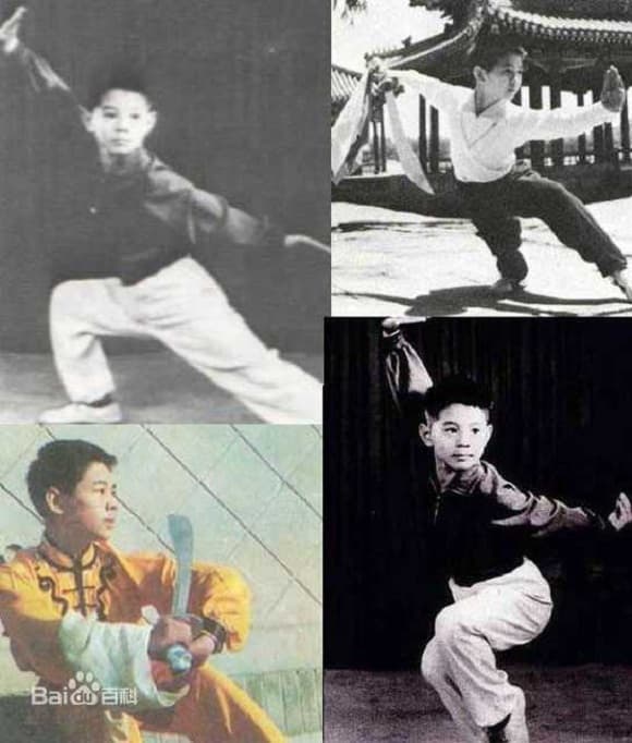 Lý Liên Kiệt và Chân Tử Đan, sao Hoa ngữ, sao kung fu