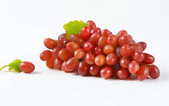 Trắc nghiệm tâm lý