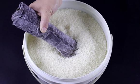 Gạo, mọt gạo, cách ngăn ngừa mọt gạo
