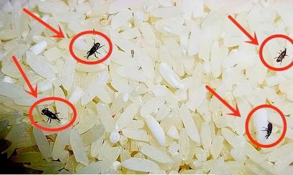 tài lộc, giàu có, đặt gạo hợp phong thuỷ, tránh đặt gạo 3 nơi hao vận tiền của