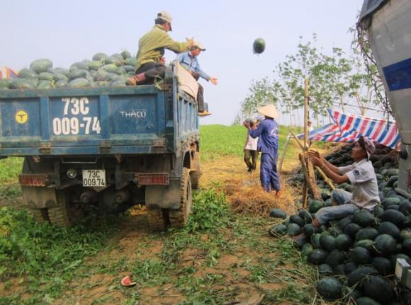 Thị trấn nào có tên dài nhất Việt Nam, thị trấn Nông Trường Việt Trung 