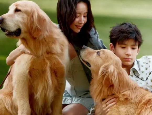 con trai Đổng Khiết, Đỉnh Đỉnh, sao Hoa ngữ