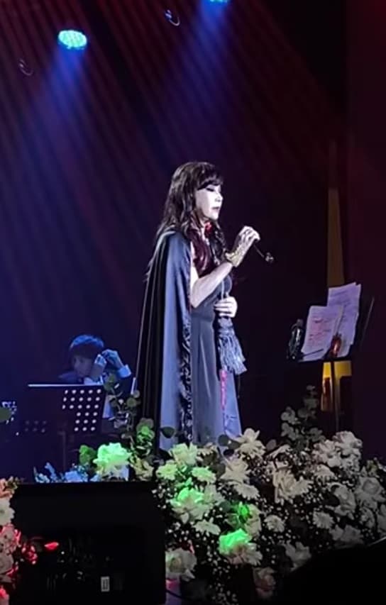 danh ca Bảo Yến, sao Việt