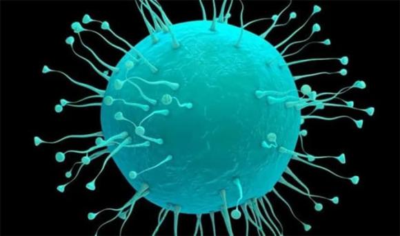 virus, băng bắc cực