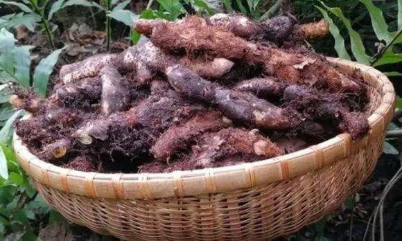 Tại sao 1 nghìn là 1k, chữ k có ý nghĩa gì