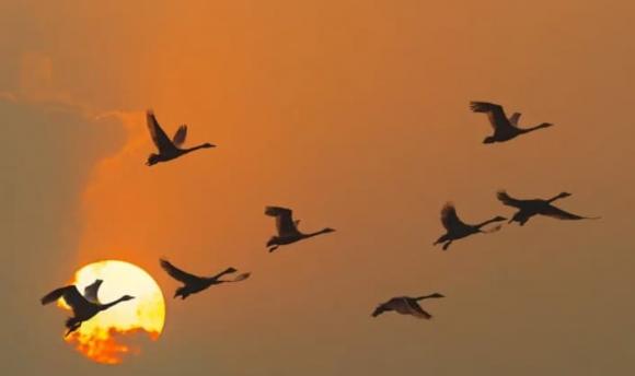 câu nói của người xưa, câu nói ý nghĩa, những điều cần biết trong đời